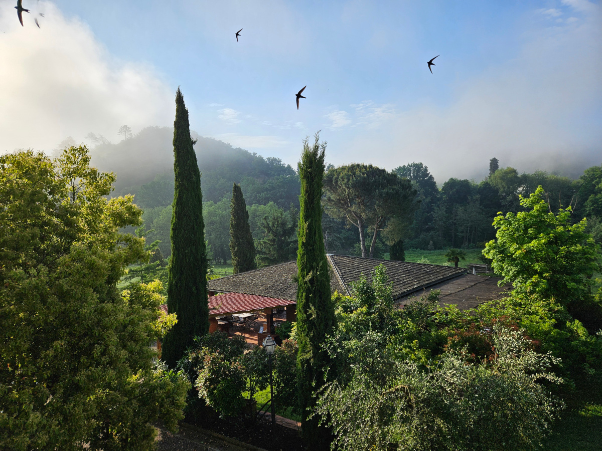 Villa Rigacci Reggello