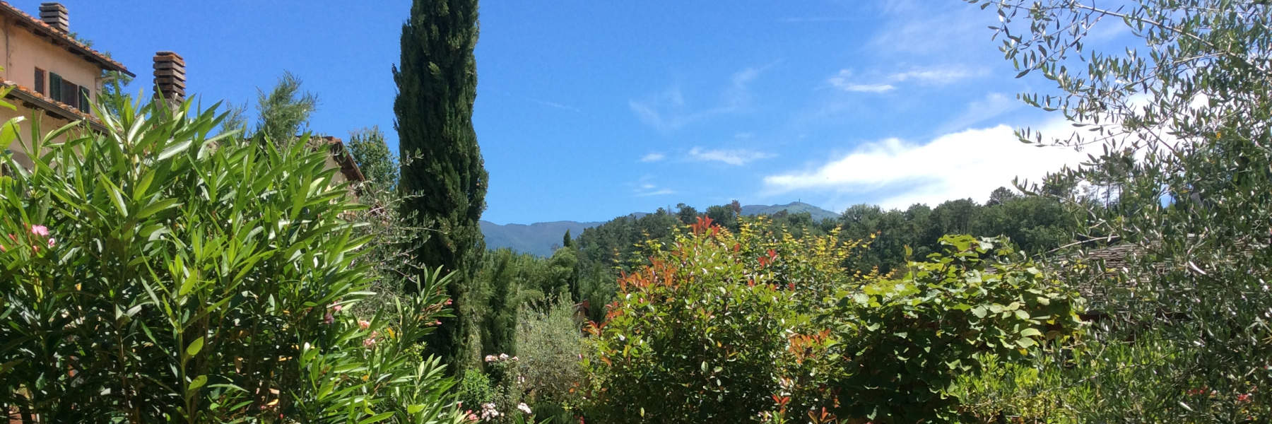 Villa Rigacci Hotel Reggello