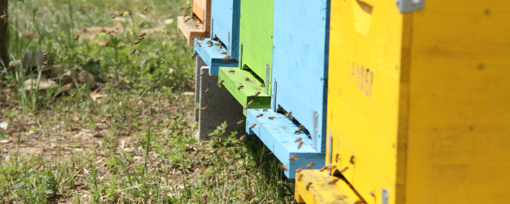 Villa Rigacci Reggello