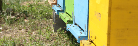 Villa Rigacci Reggello