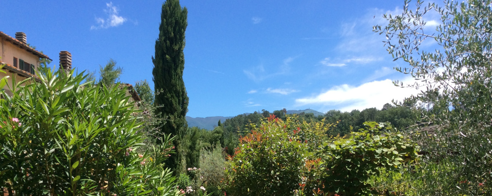 Villa Rigacci Reggello