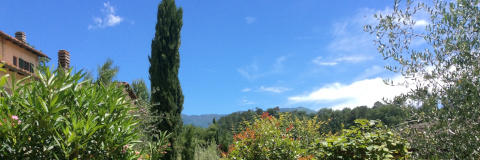 Villa Rigacci Reggello