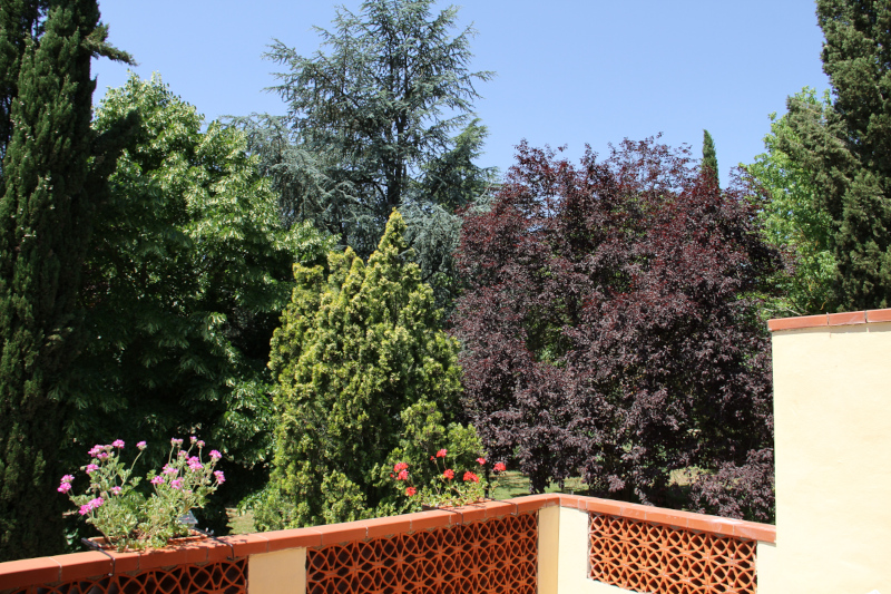 Villa Rigacci Hotel Reggello