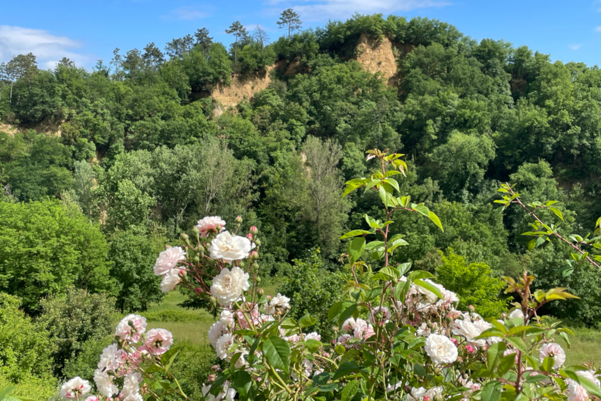 Villa Rigacci Reggello