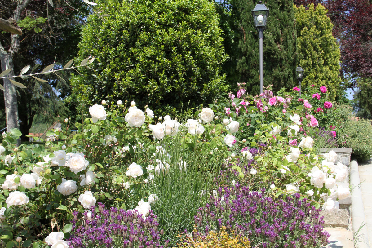 Lage Villa Rigacci Reggello