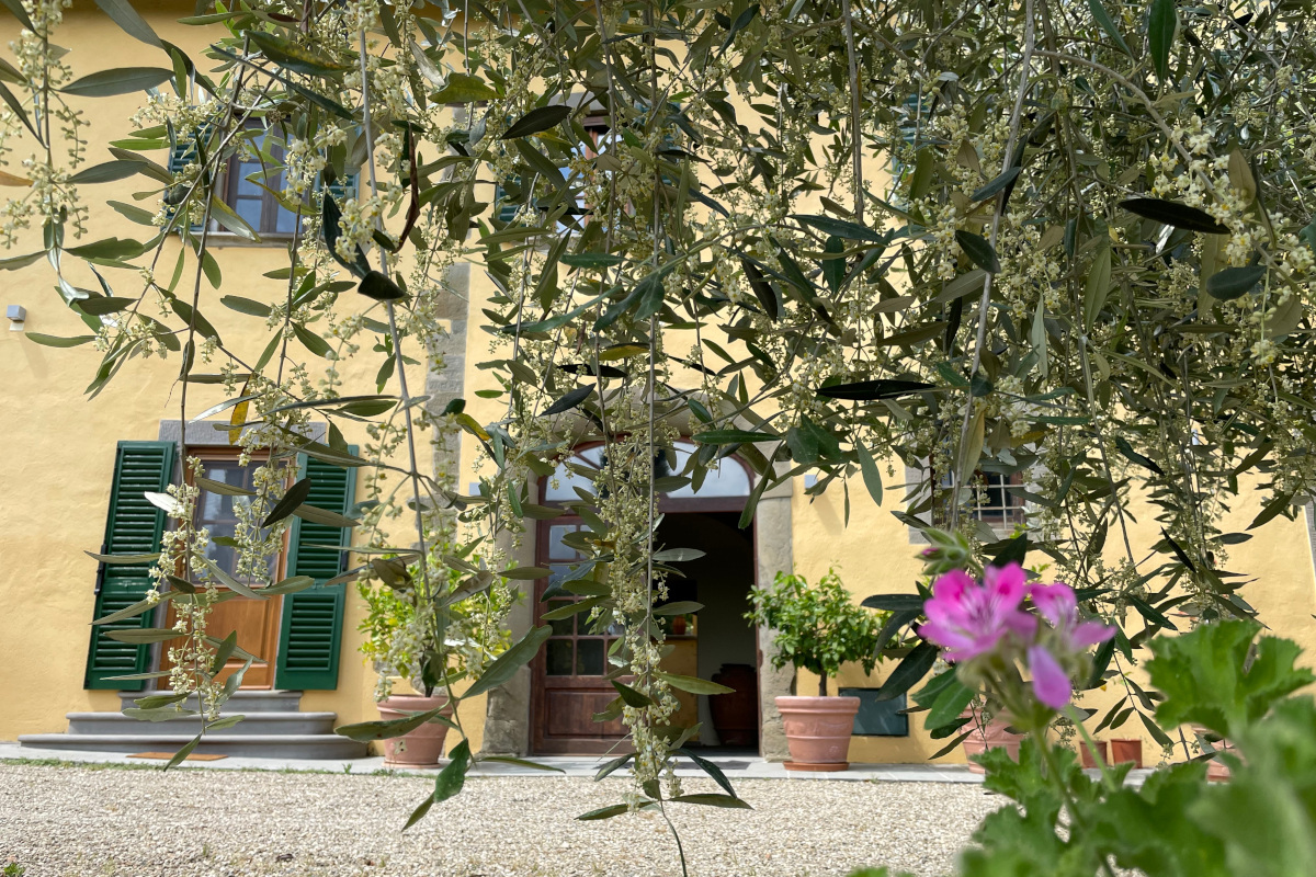 Villa Rigacci Reggello